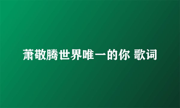 萧敬腾世界唯一的你 歌词