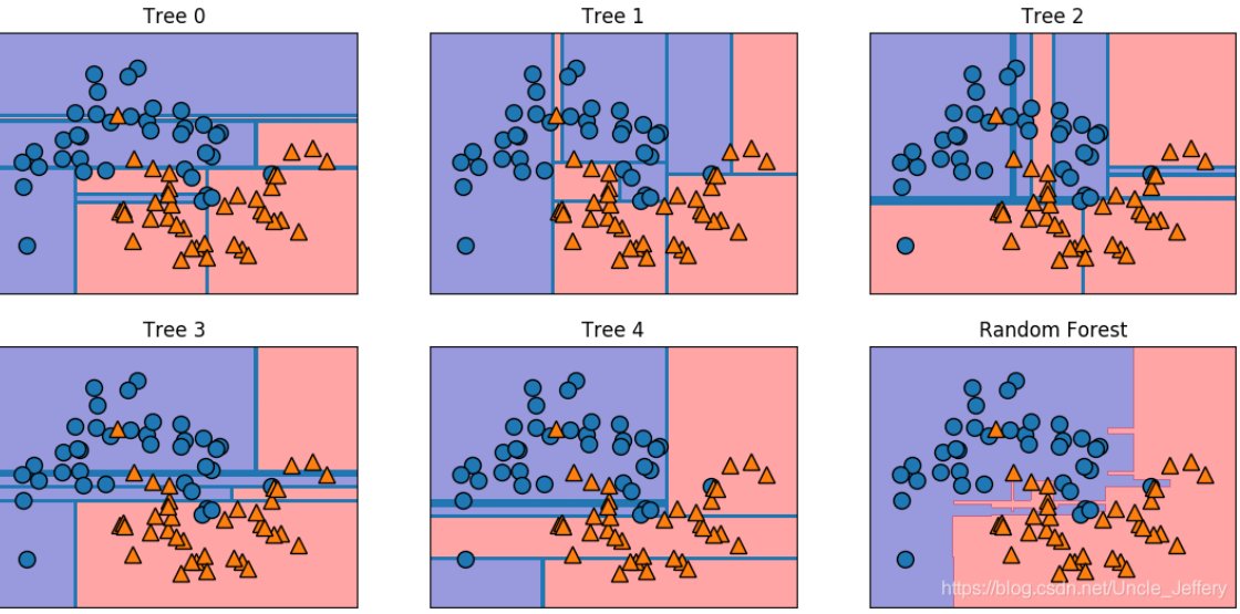 randomize是什么意思