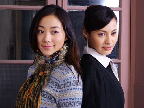 明天不是羔羊电视剧分集剧情