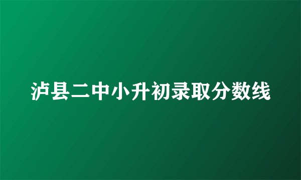 泸县二中小升初录取分数线