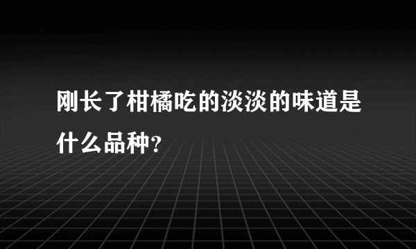 刚长了柑橘吃的淡淡的味道是什么品种？