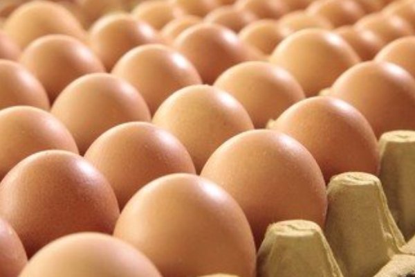 如何辨别苏丹红鸭蛋