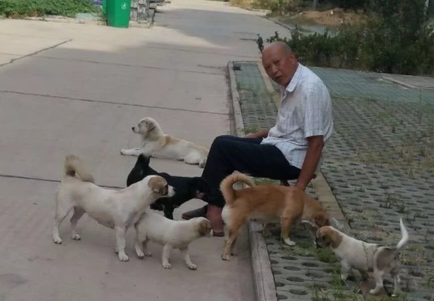 安阳养犬当事人回应狗咬伤老人,称舆论对自己不公平,你对此怎么看?