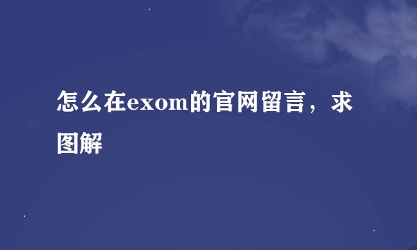 怎么在exom的官网留言，求图解