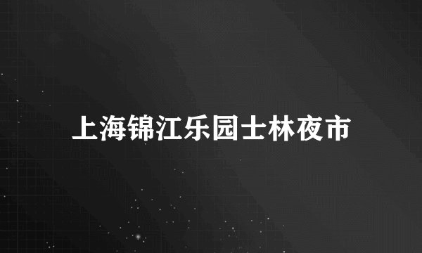上海锦江乐园士林夜市