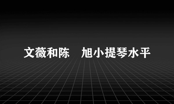 文薇和陈曌旭小提琴水平