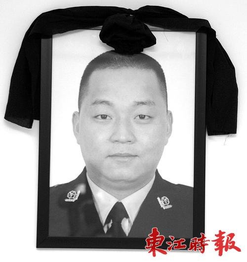 杜宇华的荣誉称号