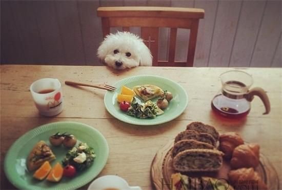 “欲”的各种意思组词