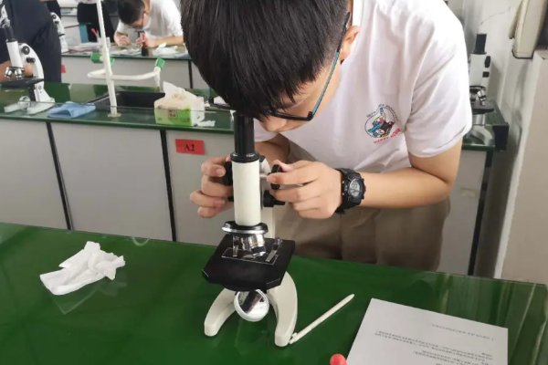 实验设计的基本原则