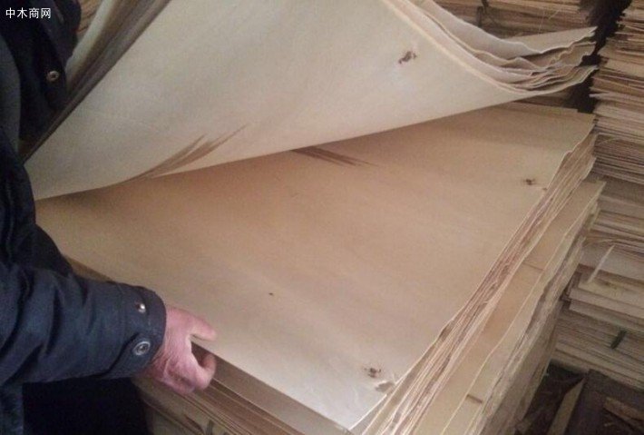 杨木木皮价格谁知道啊 进来看下！！