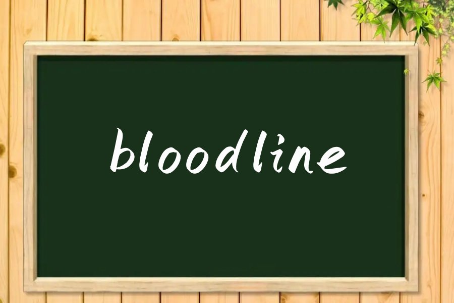 bloodline什么意思