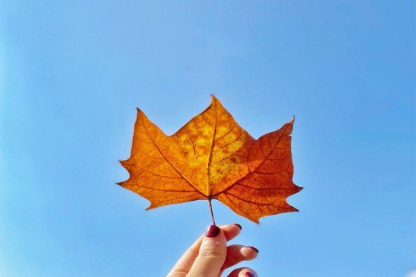 金秋十月的好词好句