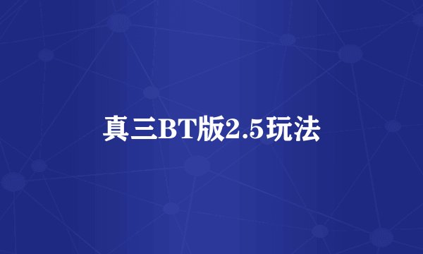 真三BT版2.5玩法