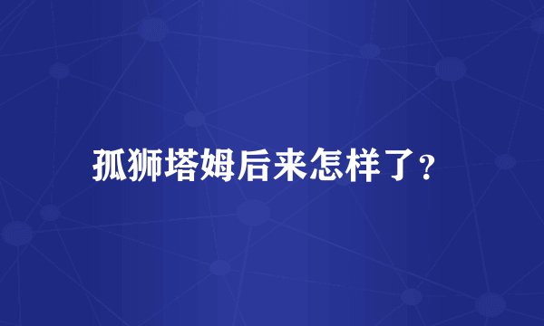 孤狮塔姆后来怎样了？