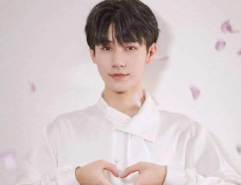 张真源高考多少分