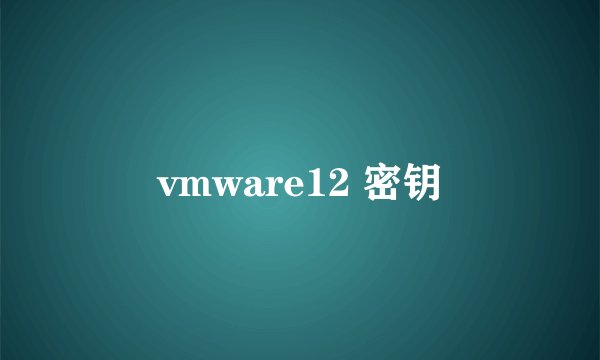 vmware12 密钥