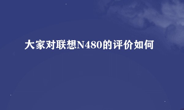 大家对联想N480的评价如何