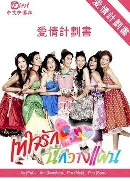 爱情计划书的介绍