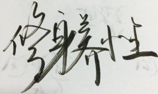 修身养性的书 5本推荐