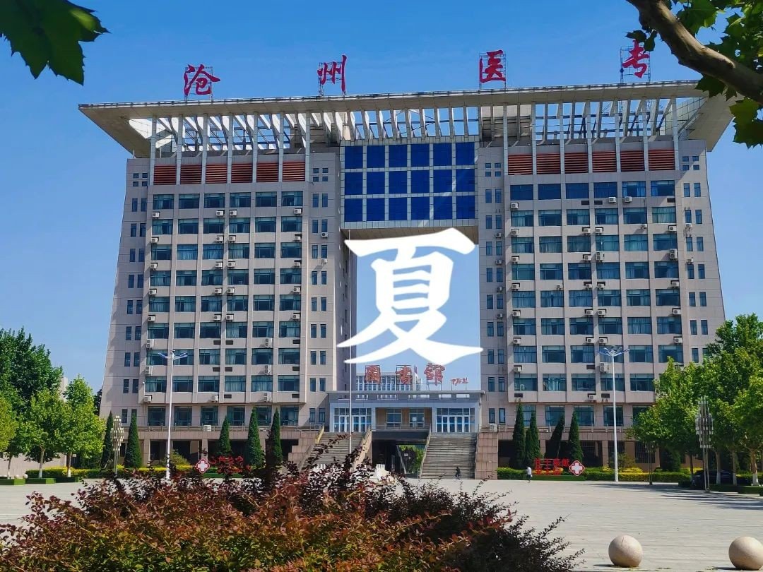 沧州医学高等专科学校怎么样