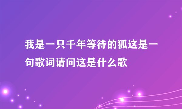 我是一只千年等待的狐这是一句歌词请问这是什么歌