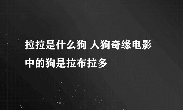 拉拉是什么狗 人狗奇缘电影中的狗是拉布拉多