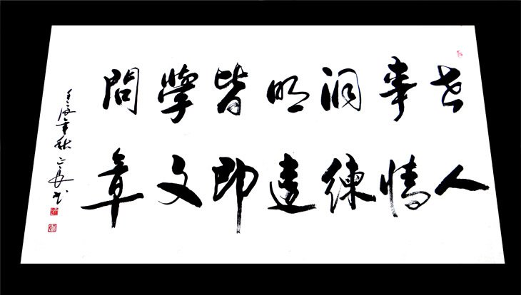 世事通明皆学问，人情练达即文章