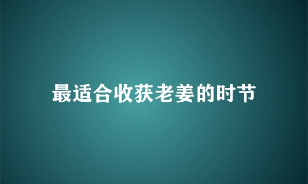 最适合收获老姜的时节