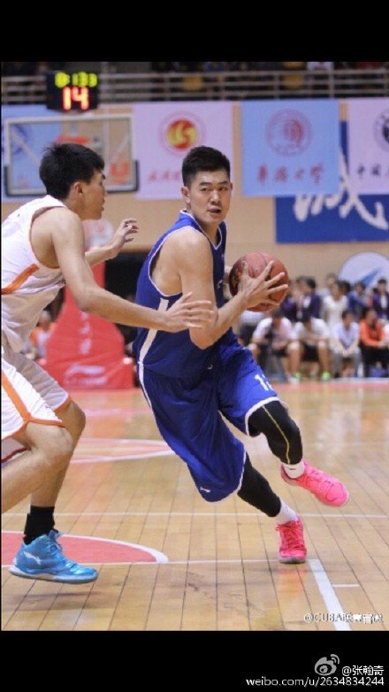 张翰奇的人物介绍