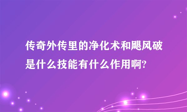 传奇外传里的净化术和飓风破是什么技能有什么作用啊?