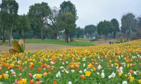 芬芳是什么意思？