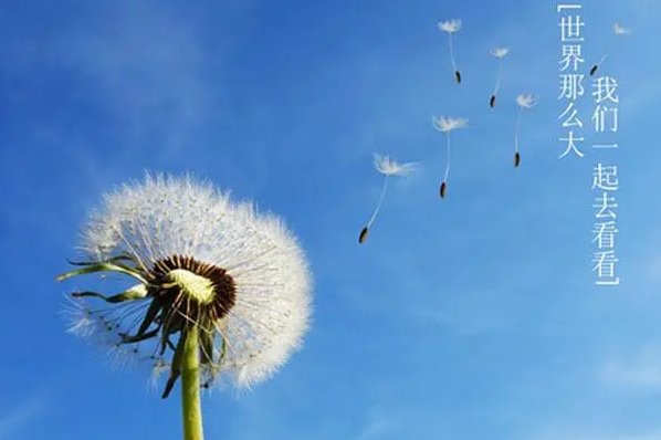 世界那么大幽默下一句是什么？