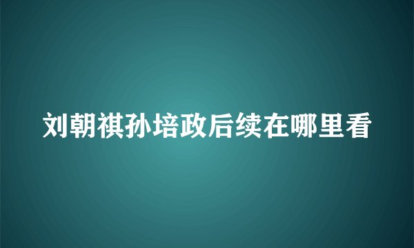 刘朝祺孙培政后续在哪里看