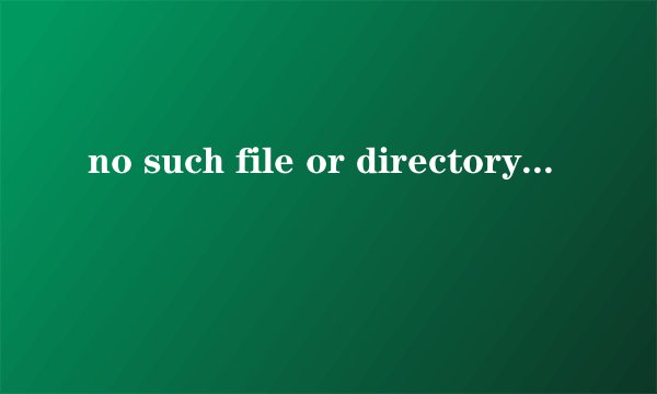 no such file or directory是什么意思