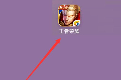 王者局内称号在哪里设置？