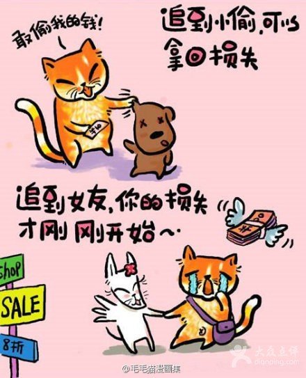 毛毛猫的毛毛猫简介