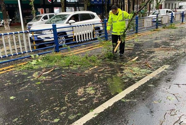 河南信阳突降鸡蛋大的冰雹，造成的损失该由谁承担？