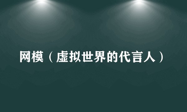 网模（虚拟世界的代言人）