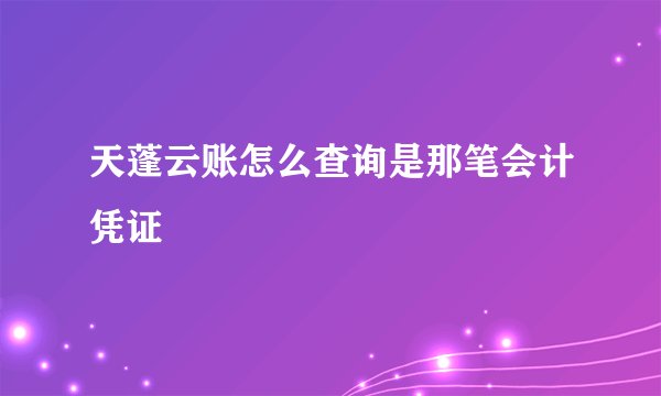 天蓬云账怎么查询是那笔会计凭证