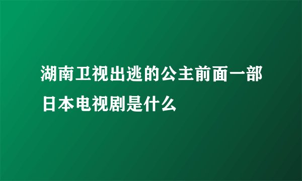 湖南卫视出逃的公主前面一部日本电视剧是什么