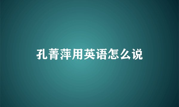 孔菁萍用英语怎么说