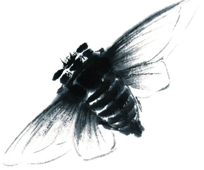 緌字的注音怎么读？