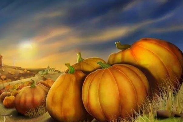 中国人感恩节的意义