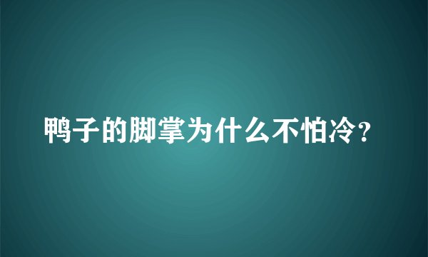 鸭子的脚掌为什么不怕冷？