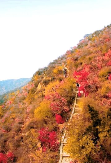北京香山一日游玩攻略