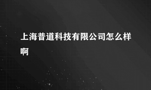 上海普道科技有限公司怎么样啊