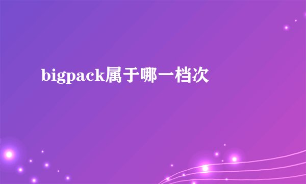 bigpack属于哪一档次