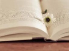 微软公司面试题“井盖为什么是圆的?”其实是在考察( )思维。