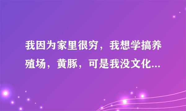 我因为家里很穷，我想学搞养殖场，黄豚，可是我没文化，又没技术怎么办啊？