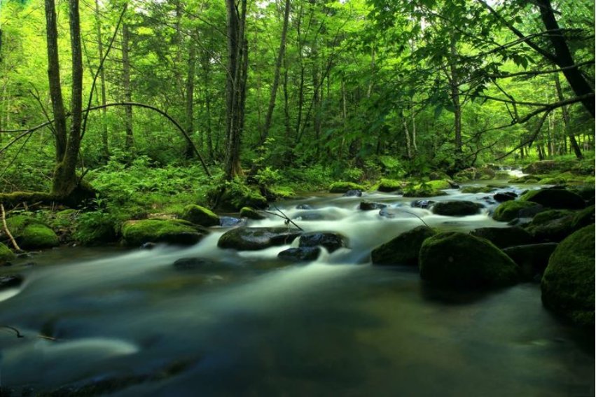 潺潺怎么读什么意思